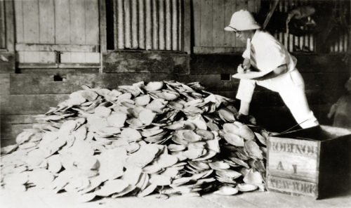 Pearling Shells Broome c1925