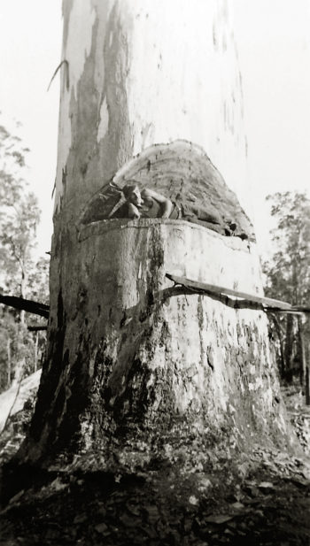 Carri Forrest Western Australia c 1920