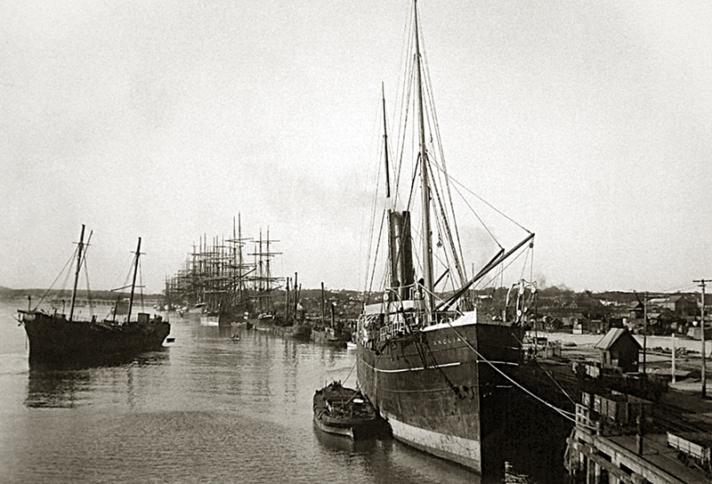 Fremantle Harbour Looking East 1899 (F052)