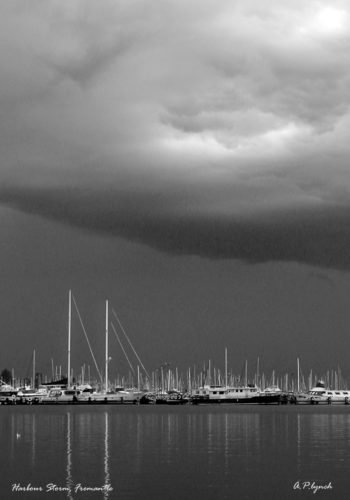 Harbour Storm