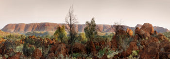 Outback pilbara