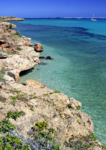 Coral Bay Rocks