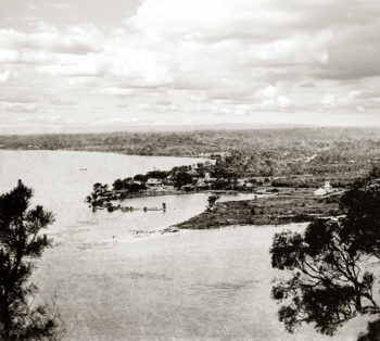 South Perth from Kings Park 2 c1880